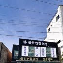 돌산연합의원 이미지