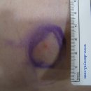 현대통통의원 이미지