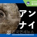 화석 이미지