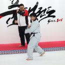 훌륭한 태권도 이미지