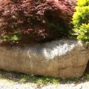 솔향수목원(암석원) 이미지