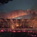 진화농장 이미지