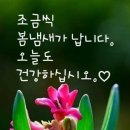 여지 이미지