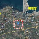 부동산다움공인중개사사무소 이미지