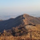 장동리 계곡 이미지