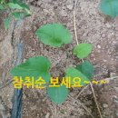 태농농장 이미지