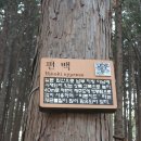 황토길에서
