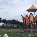 (주)옐로우박스 이미지