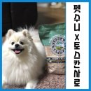 펫수니 네이버블로그