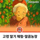 영생농장 이미지