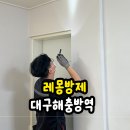 토탈방역 | 대구 바퀴벌레 퇴치 레몽방제 주택 해충 방역 후기