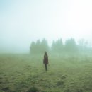 초록바람 이미지