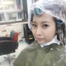 헤어닥 이미지