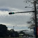 신비의소나무 앞 | ②경주 2박3일 브이로그- 경주월드부터 요석궁·황리단길 바까지｜신비의 경주 밤코스 완벽 정리