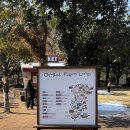 동백유치원 | 제주 조천 가볼만한곳 :) 겨울 동백과 동물 체험이 공존하는 "길갈 팜 랜드" (솔직후기)