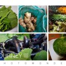 찬용농장 이미지