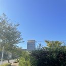 피터펫카페본점 | 부산 기장 애견카페 피터펫 카페 본점 후기