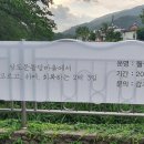 강원도협동조합감자여행