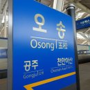 [식의약] 식의약 영리더 13기 합격후기/지원서 작성법/발대식 후기