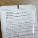 비비전