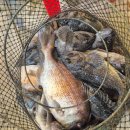 항구낚시터 이미지