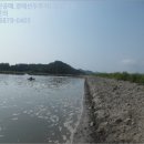 비금면도고리