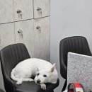 아트비헤어 네이버블로그