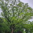 산성 | 문경 고모산성 주차장과 후기