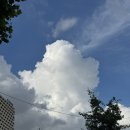 (주)브이케이티 | 🏷️ • 7 月 첫 번째 주머니