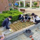 기린초등학교병설유치원 이미지