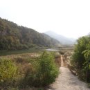 매화마을길 이미지