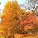 정문농장 이미지