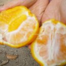 도덕농장 이미지