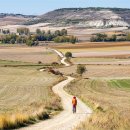 HOSTEL THE CAMINO | 순례길 완전 가이드: 인생 버킷리스트로 떠나는 800km 여정 + 항공·숙소 분석 + 실제 한국인 후기 10선