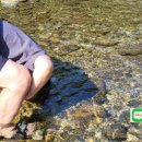 물소리펜션민박 이미지