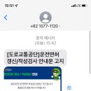 반스완