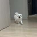 국광기업 | [광터뷰] 동국 광홍 합격자 인터뷰(수시 VER)