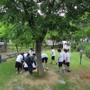 계성초등학교 이미지