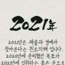 신비돌스 랙돌 캐터리 이미지