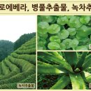 몸사랑피부샵