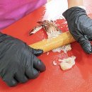 참진유통 이미지