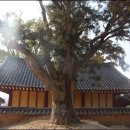 영광향교 이미지