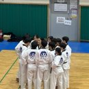 새빛태권도 이미지