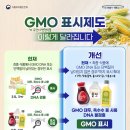 "GMO(유전자변형식품) 표시제도" 이렇게 달라집니다!! 이미지