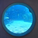 초양도주차장 이미지