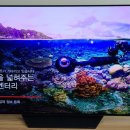 유풍정육점 | LG OLED TV 55인치 구매후기