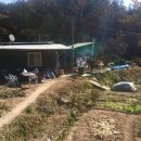 석양 속 생명의 날 이미지