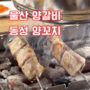 동성양꼬치