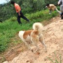 김병기농장 이미지