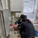 합동축산 이미지